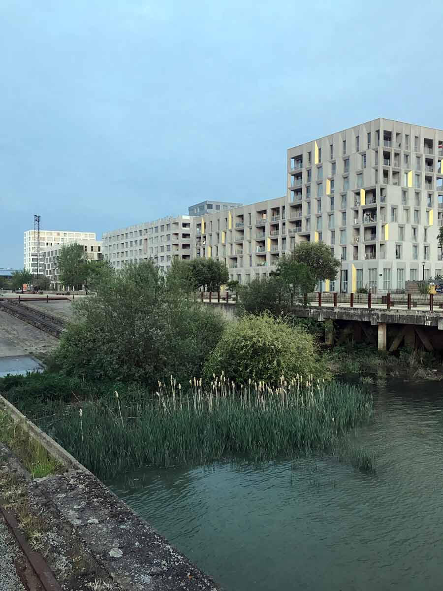 An ongoing project combining nature with urban planning on the Ile de Nantes, France. Photo by Carra Santos.